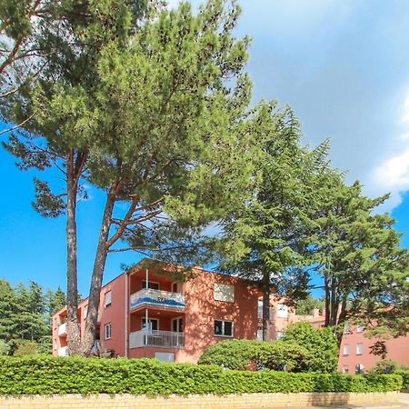 Vesna S Apartment Novigrad Istria Esterno foto