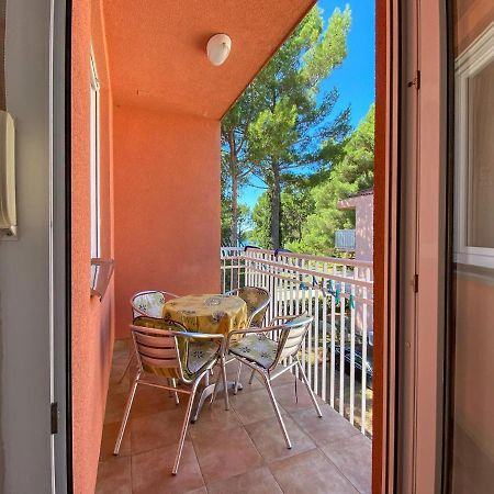 Vesna S Apartment Novigrad Istria Esterno foto