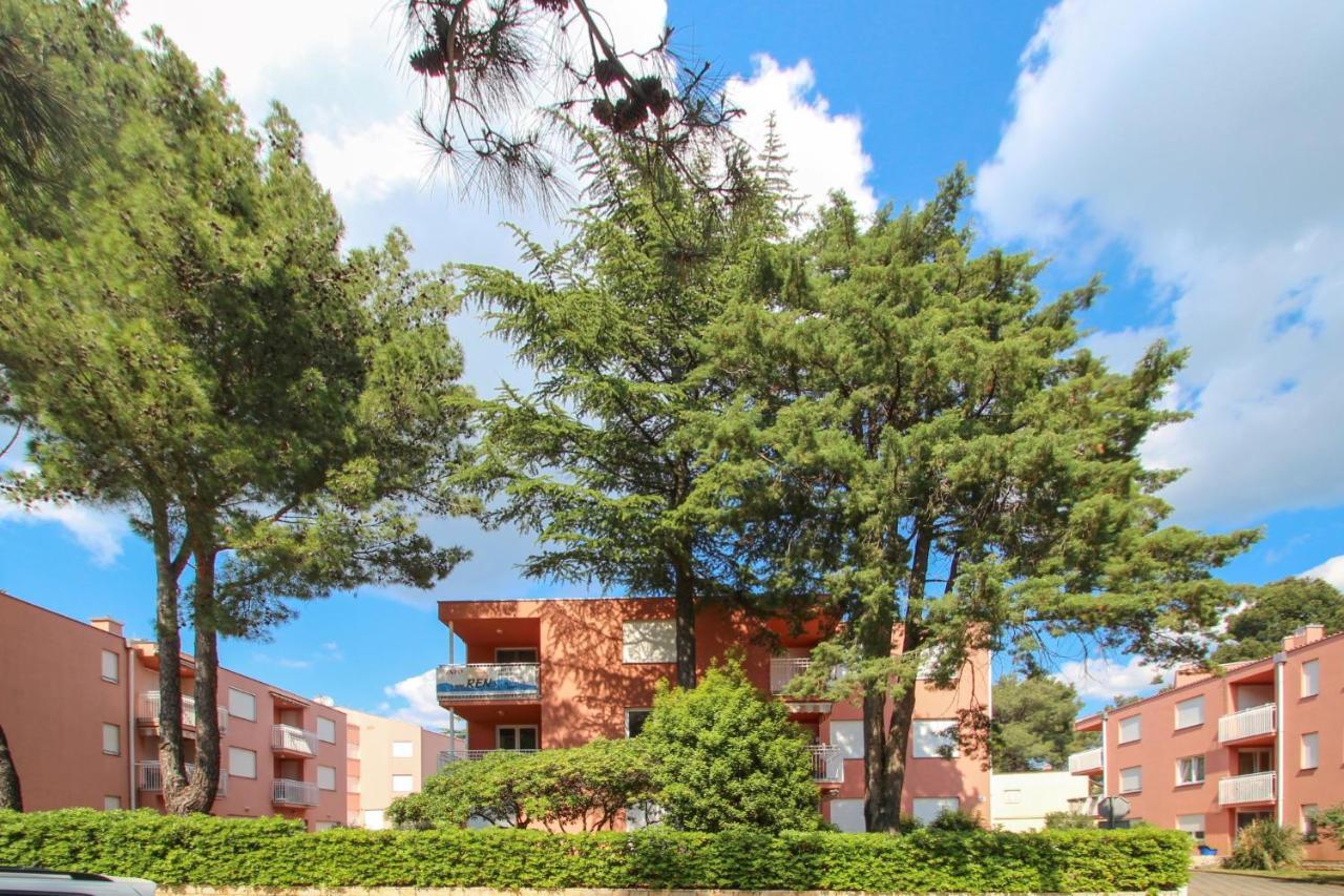 Vesna S Apartment Novigrad Istria Esterno foto